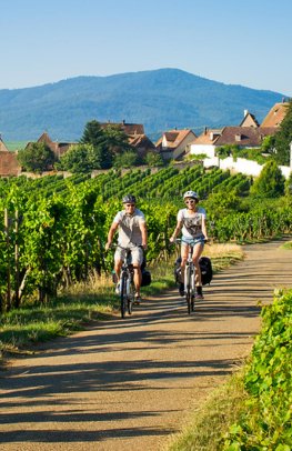 Bike & cruise through Alsace-Lorraine
