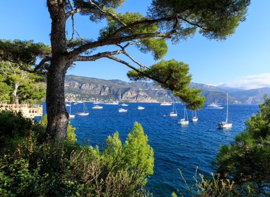 Discover Paris & the French Riviera