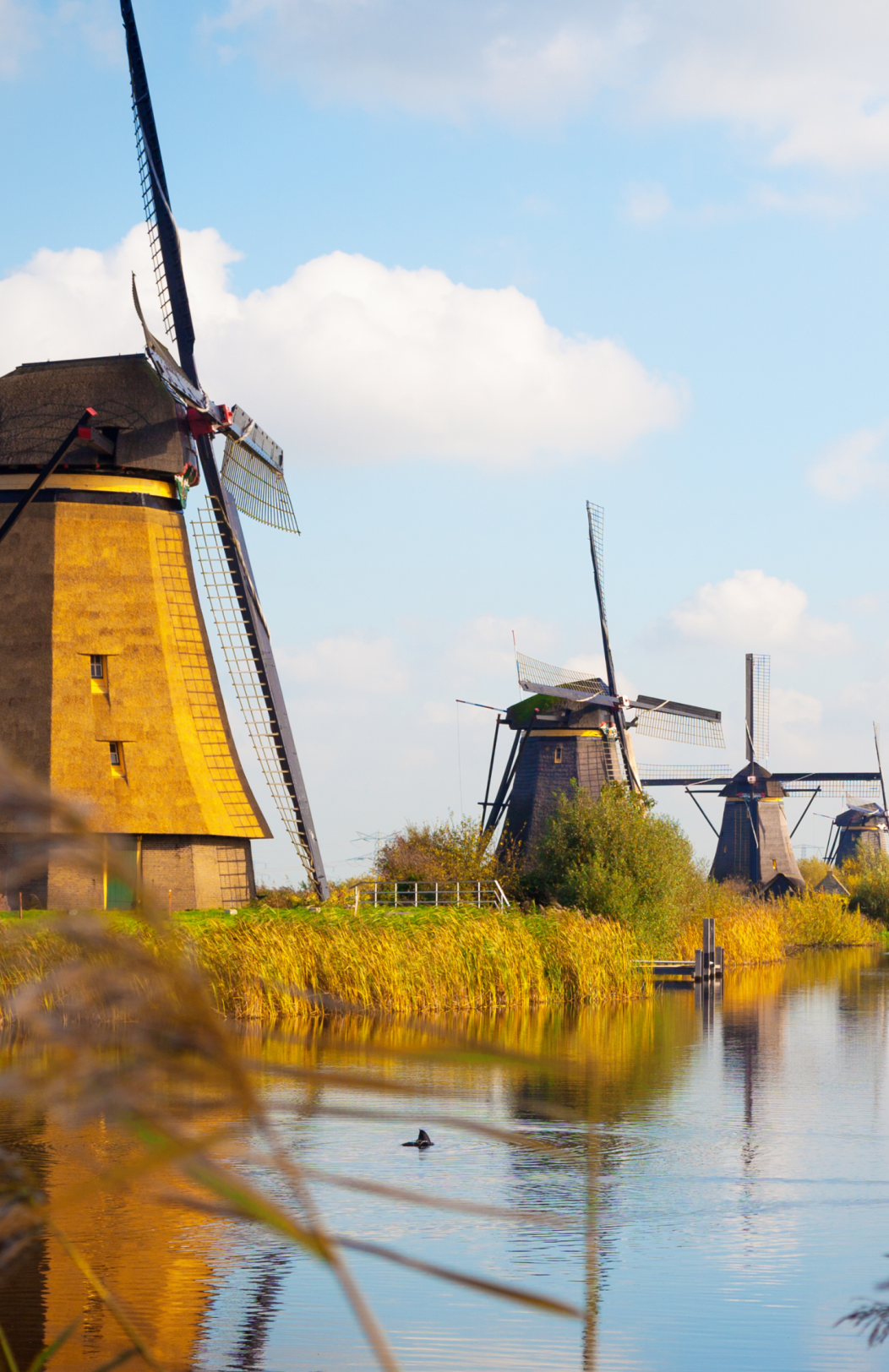 Bike & Cruise from Amsterdam to Bruges