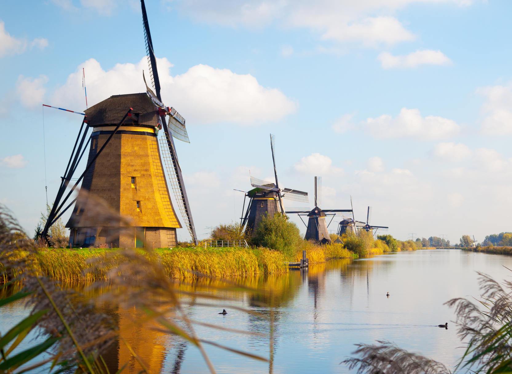 Bike & Cruise from Amsterdam to Bruges