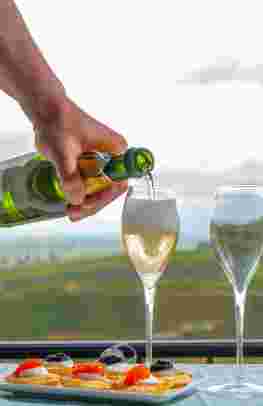 Champagne: highlights & vineyards 