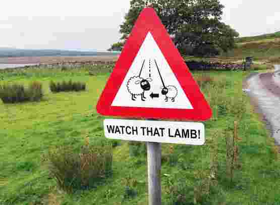 Scotland in a Nutshell