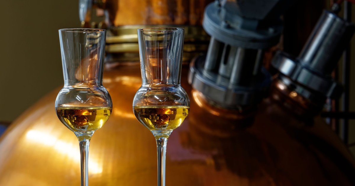 Hop-on/Hop-off Tour & Titanic Distillery Combi / Authentic Europe