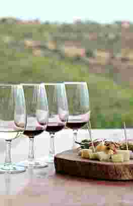 The Delights of Provence