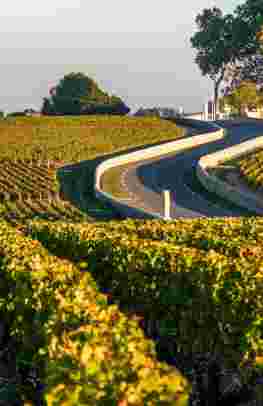 Explore Bordeaux and Dordogne Regions