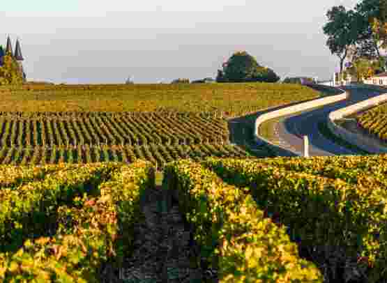Explore Bordeaux and Dordogne Regions