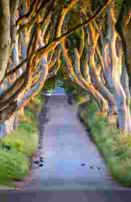 The Game of Thrones Tour