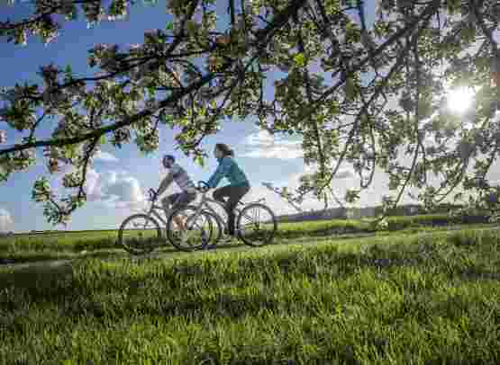 Bike & Cruise Loire Valley, Briare - Nevers