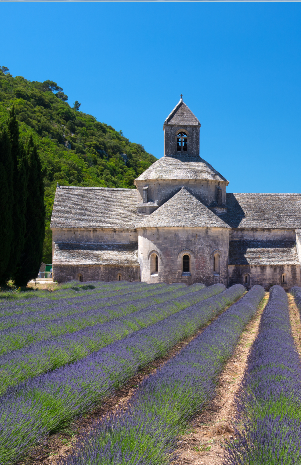 The Best of Provence