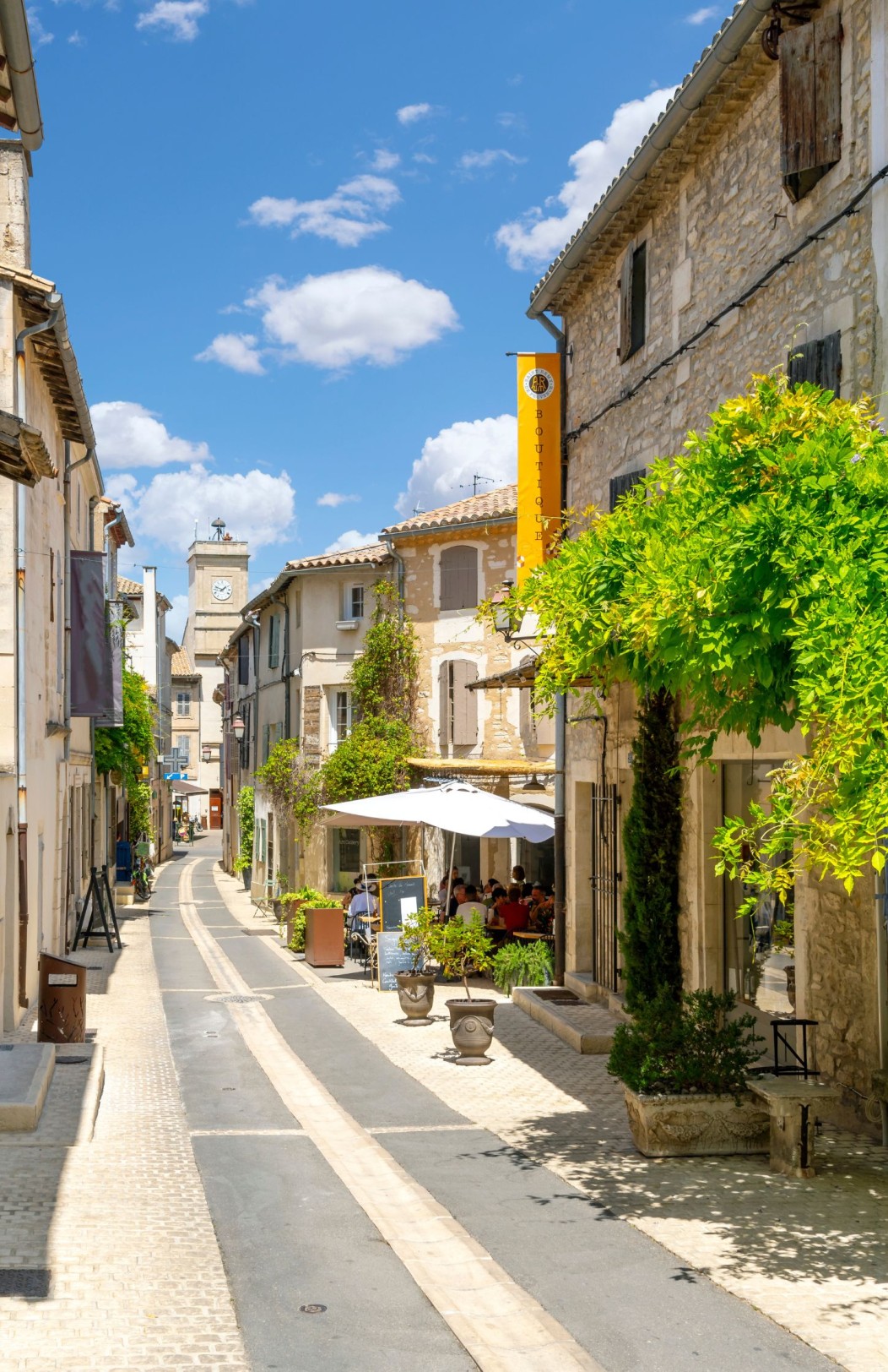 The Best of Provence