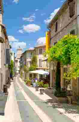 The best of Provence