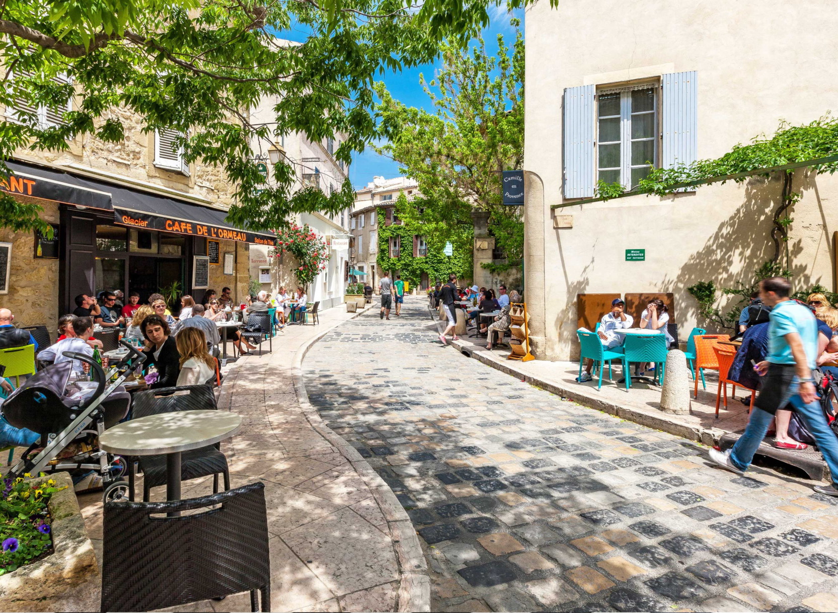 The Best of Provence