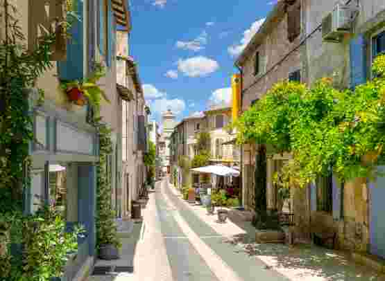 The best of Provence