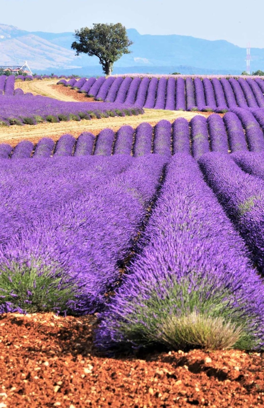 Paris, Provence & the French Riviera