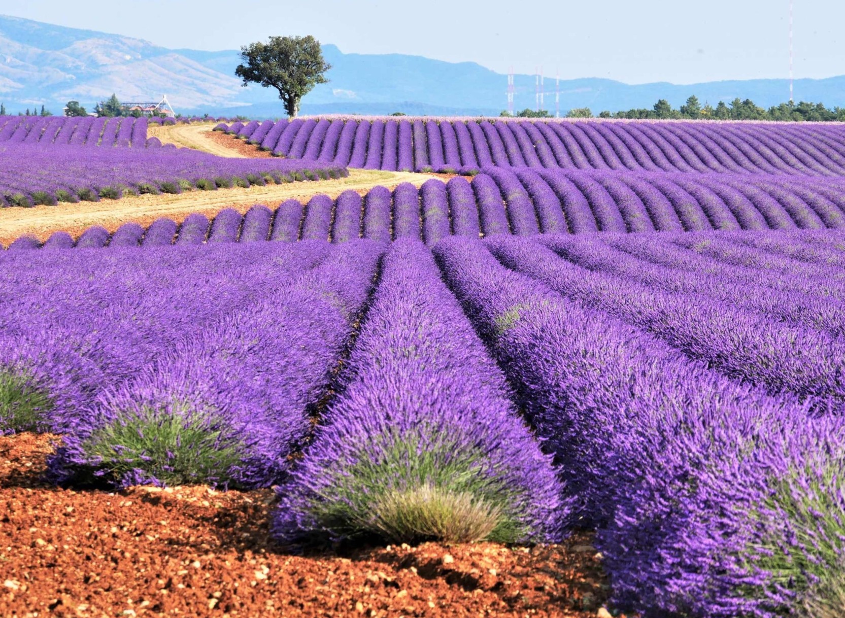 Paris, Provence & the French Riviera