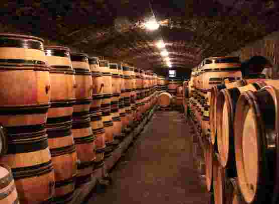 Champagne, Alsace & Burgundy by rail