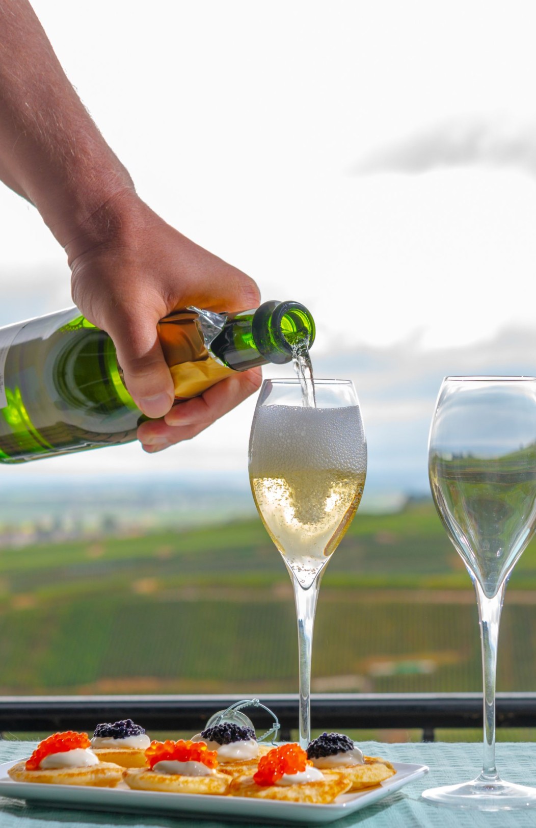 Champagne: highlights & vineyards