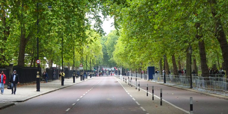 Birdcage Walk. Photo. Michael Coghlan via flickr.com.jpg