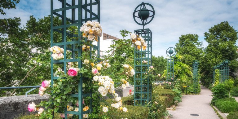 Roses and green plants in the la Promenade plantée park in Paris.