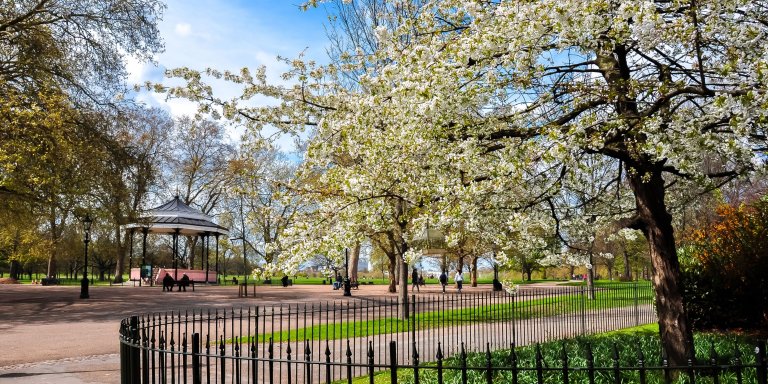 Hyde Park in Spring