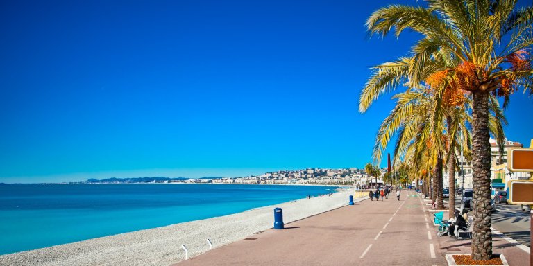 A beautiful beach with palm trees and a clear blue sky at Promenade des Anglais, Nice.