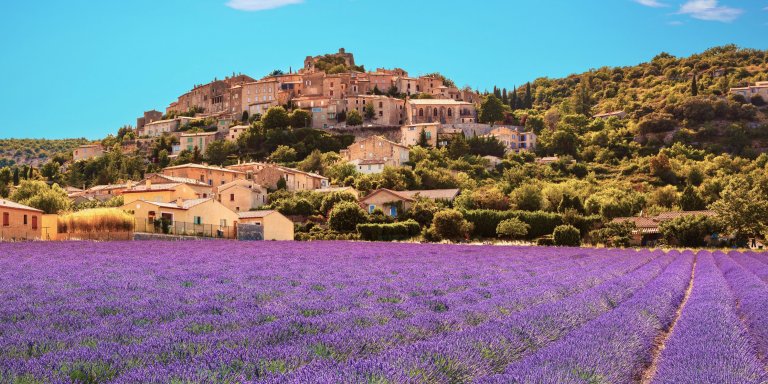 Lavender field in Provence. Hilltop village in the background.